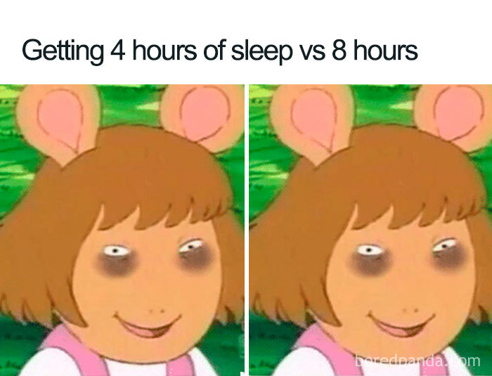 96 Of The Funniest Sleeping Memes Ever 96 Of The Funniest Sleeping Memes Ever