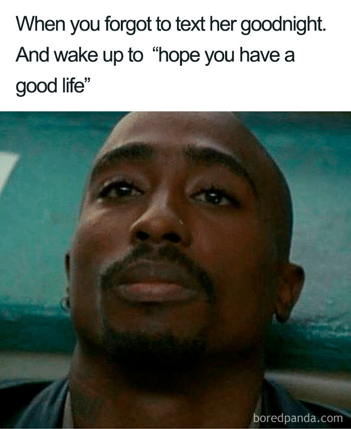 96 Of The Funniest Sleeping Memes Ever 96 Of The Funniest Sleeping Memes Ever