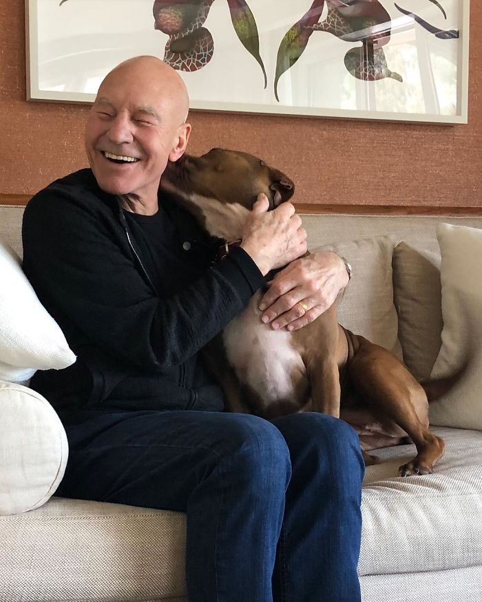 New ‘Star Trek: Picard’ Poster Features Sir Patrick Stewart And His Companion Dog New ‘Star Trek: Picard’ Poster Features Sir Patrick Stewart And His Companion Dog