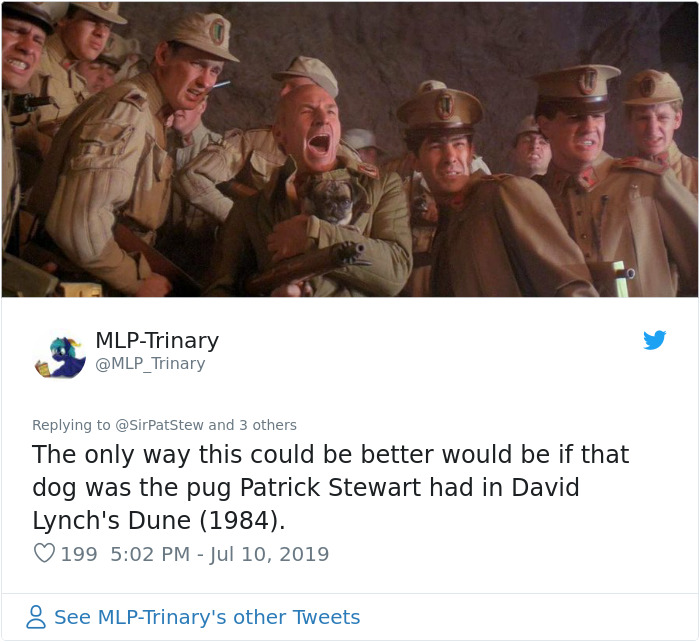 New ‘Star Trek: Picard’ Poster Features Sir Patrick Stewart And His Companion Dog New ‘Star Trek: Picard’ Poster Features Sir Patrick Stewart And His Companion Dog