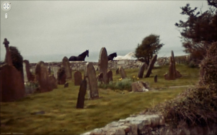 30 Best Accidentally Taken Animal Pics By Google Street View