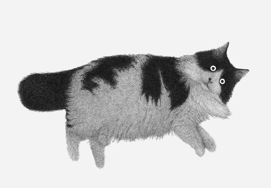 I Asked My Nieces To Decide What Animals I Should Draw And It Marked The Beginning Of My Style