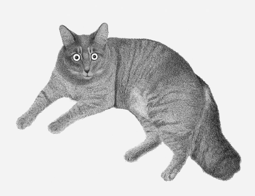 I Asked My Nieces To Decide What Animals I Should Draw And It Marked The Beginning Of My Style