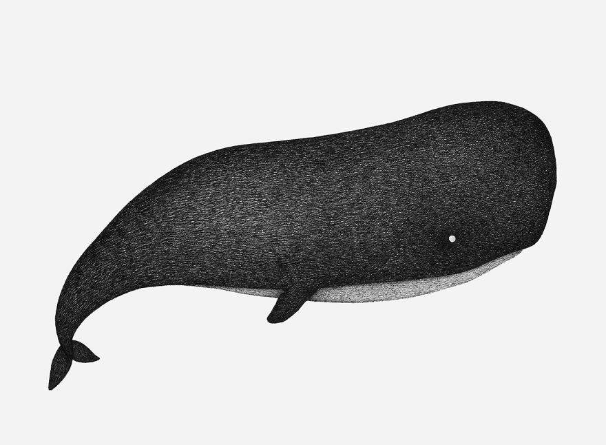 I Asked My Nieces To Decide What Animals I Should Draw And It Marked The Beginning Of My Style