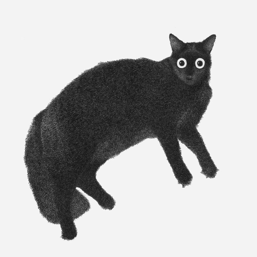 I Asked My Nieces To Decide What Animals I Should Draw And It Marked The Beginning Of My Style