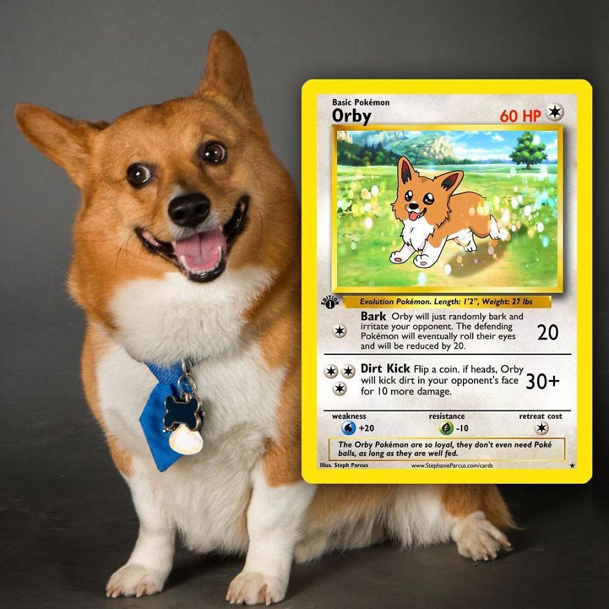 Artist Transforms Pets Into Pokémon Cards (30 Pics) Artist Transforms Pets Into Pokémon Cards (30 Pics)