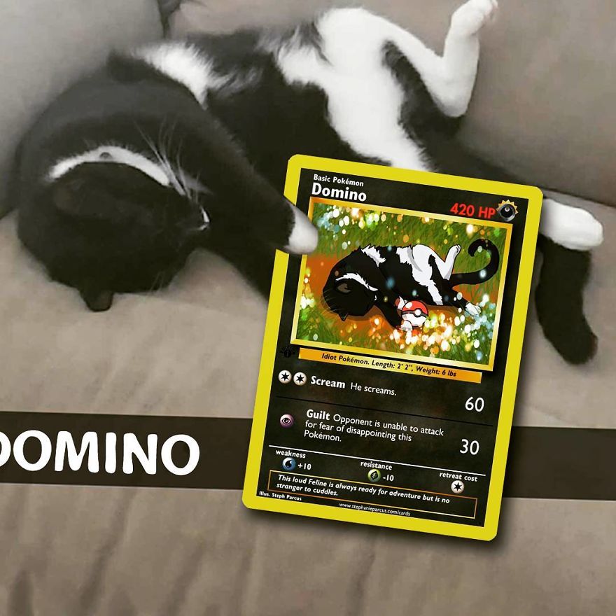 Artist Transforms Pets Into Pokémon Cards (30 Pics) Artist Transforms Pets Into Pokémon Cards (30 Pics)