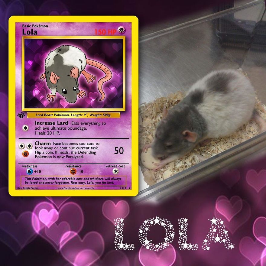 Artist Transforms Pets Into Pokémon Cards (30 Pics) Artist Transforms Pets Into Pokémon Cards (30 Pics)