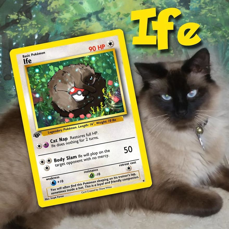 Artist Transforms Pets Into Pokémon Cards (30 Pics) Artist Transforms Pets Into Pokémon Cards (30 Pics)