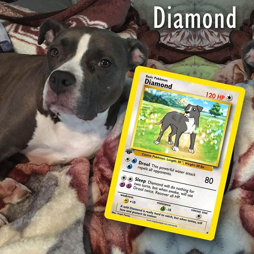 Artist Transforms Pets Into Pokémon Cards (30 Pics) Artist Transforms Pets Into Pokémon Cards (30 Pics)