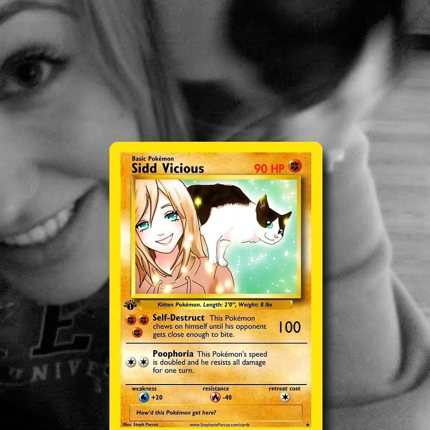 Artist Transforms Pets Into Pokémon Cards (30 Pics) Artist Transforms Pets Into Pokémon Cards (30 Pics)