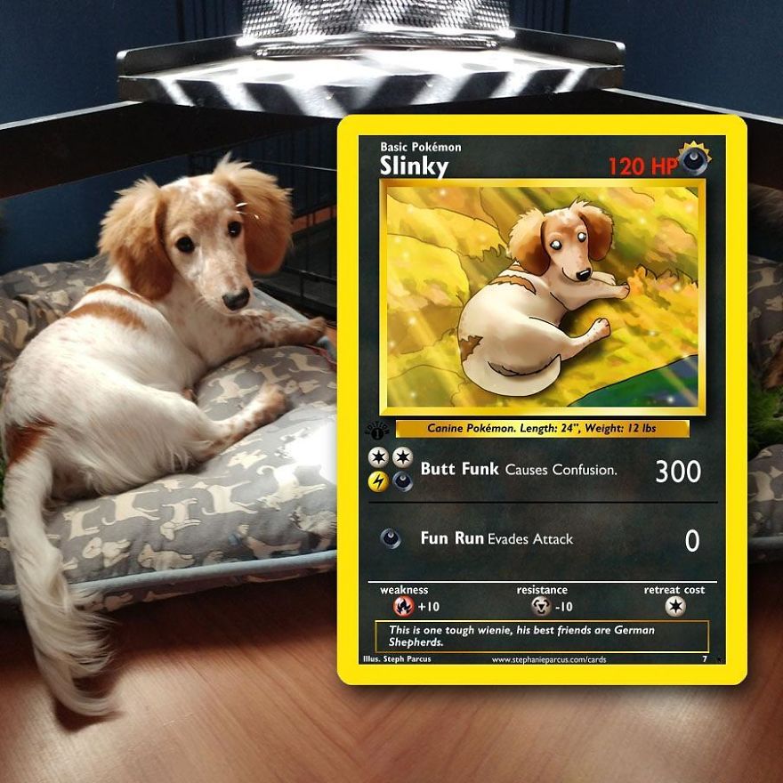 Artist Transforms Pets Into Pokémon Cards (30 Pics) Artist Transforms Pets Into Pokémon Cards (30 Pics)