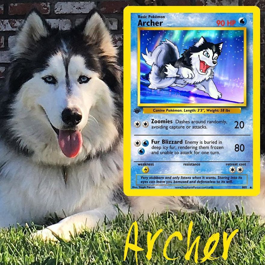 Artist Transforms Pets Into Pokémon Cards (30 Pics) Artist Transforms Pets Into Pokémon Cards (30 Pics)