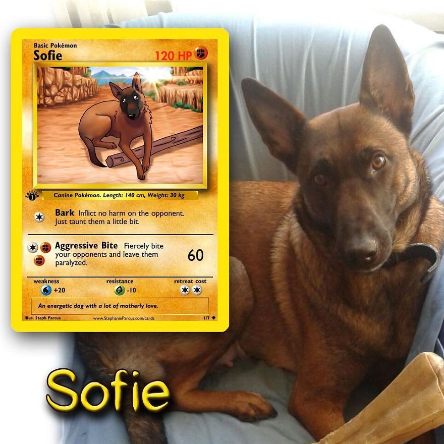 Artist Transforms Pets Into Pokémon Cards (30 Pics) Artist Transforms Pets Into Pokémon Cards (30 Pics)