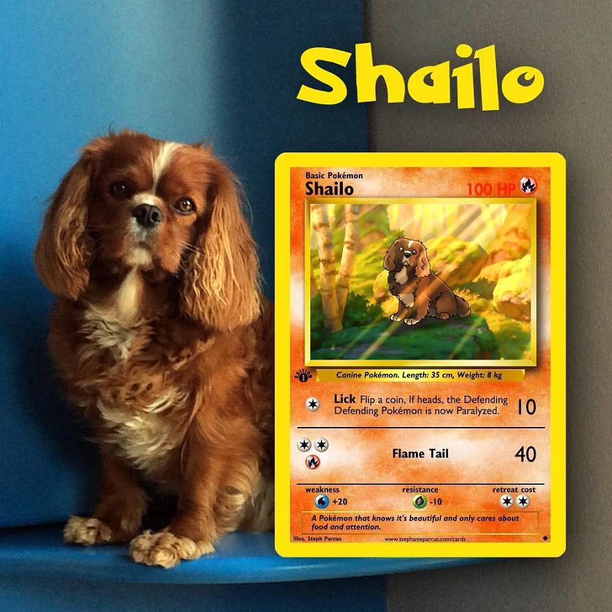 Artist Transforms Pets Into Pokémon Cards (30 Pics) Artist Transforms Pets Into Pokémon Cards (30 Pics)