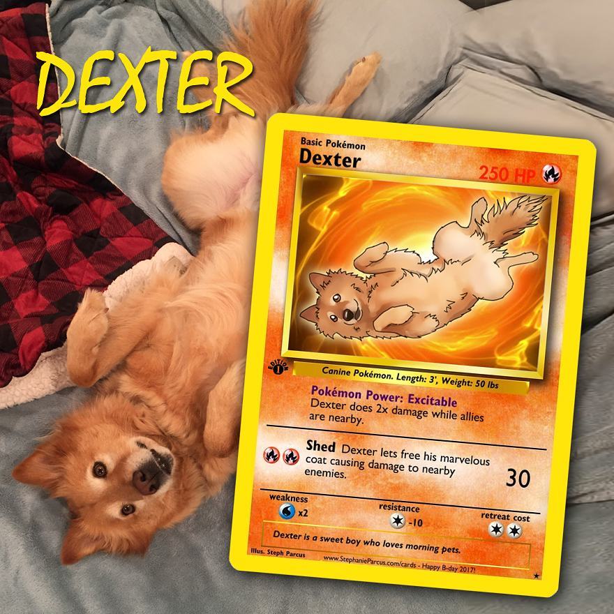 Artist Transforms Pets Into Pokémon Cards (30 Pics) Artist Transforms Pets Into Pokémon Cards (30 Pics)