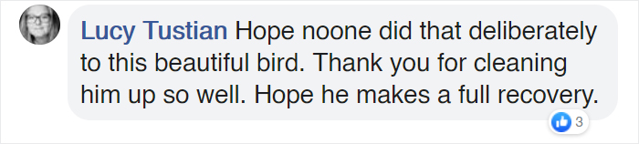 People Rescue ‘Exotic’ Bird That Couldn’t Fly, Turns Out It’s A Seagull Covered In Curry People Rescue ‘Exotic’ Bird That Couldn’t Fly, Turns Out It’s A Seagull Covered In Curry