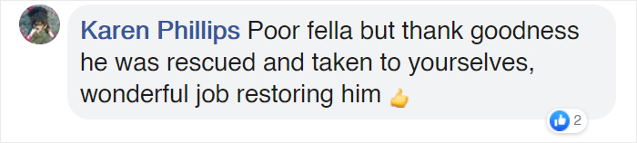 People Rescue ‘Exotic’ Bird That Couldn’t Fly, Turns Out It’s A Seagull Covered In Curry People Rescue ‘Exotic’ Bird That Couldn’t Fly, Turns Out It’s A Seagull Covered In Curry