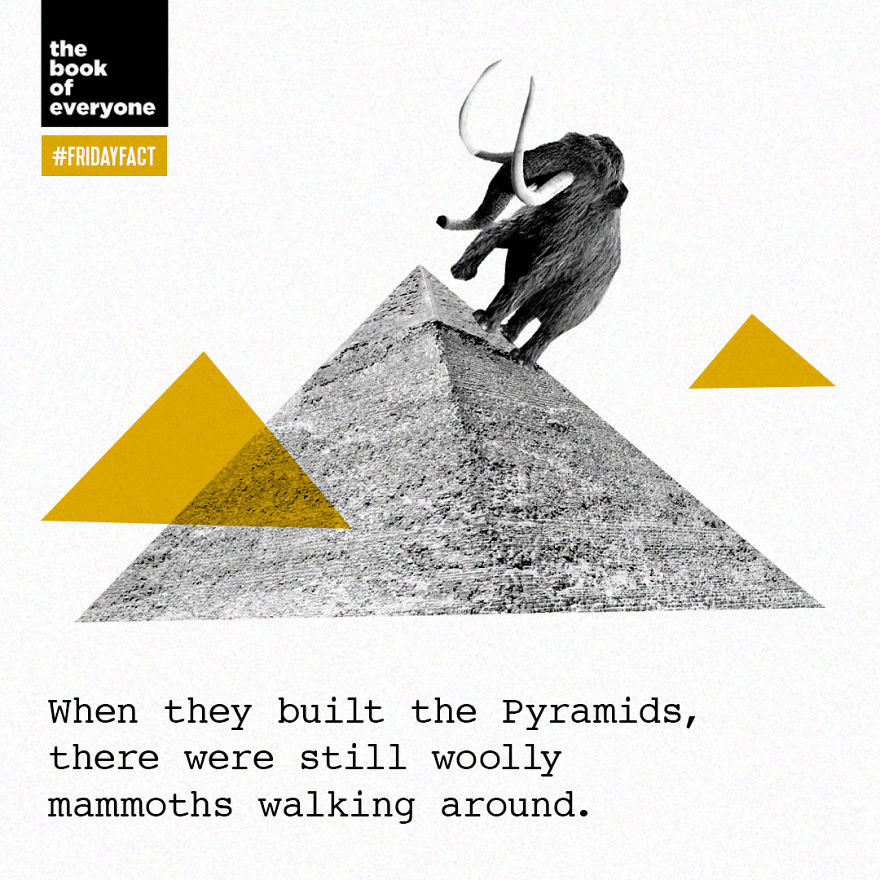 Interesting And Weird Facts About The World You Probably Didn’t Know (30 Pics)