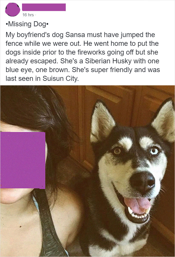 Woman Posts About Missing Dog On Facebook And Finds Another Woman Trying To Sell It Woman Posts About Missing Dog On Facebook And Finds Another Woman Trying To Sell It