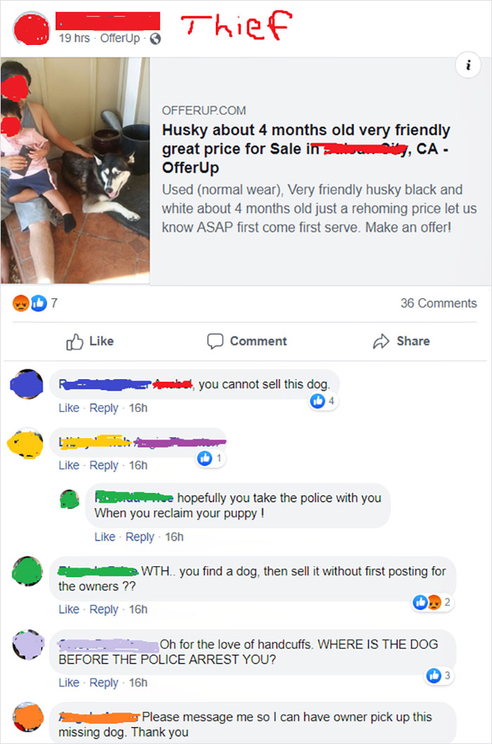 Woman Posts About Missing Dog On Facebook And Finds Another Woman Trying To Sell It Woman Posts About Missing Dog On Facebook And Finds Another Woman Trying To Sell It