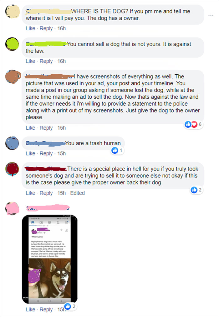 Woman Posts About Missing Dog On Facebook And Finds Another Woman Trying To Sell It Woman Posts About Missing Dog On Facebook And Finds Another Woman Trying To Sell It