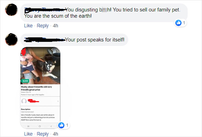 Woman Posts About Missing Dog On Facebook And Finds Another Woman Trying To Sell It Woman Posts About Missing Dog On Facebook And Finds Another Woman Trying To Sell It
