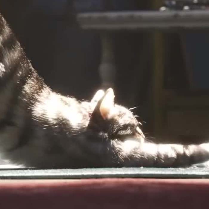 People Are Applauding Pixar For The Incredible Level Of Detail In Toy Story 4 And Here Are 29 Examples Of it People Are Applauding Pixar For The Incredible Level Of Detail In Toy Story 4 And Here Are 29 Examples Of it