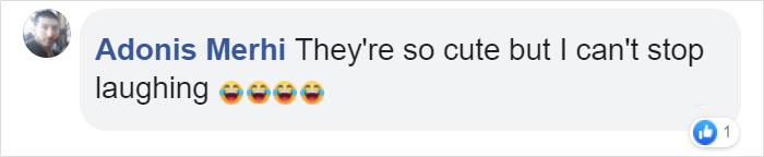 Turns Out, Farmers Are Protecting Their Calves From Frostbite With Earmuffs, And It’s Too Cute