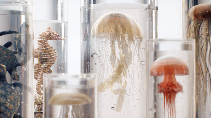 We Came Up With An Idea Of A Modern Noah’s Ark Which Would Preserve Human Knowledge And Art For Future Generations We Came Up With An Idea Of A Modern Noah’s Ark Which Would Preserve Human Knowledge And Art For Future Generations