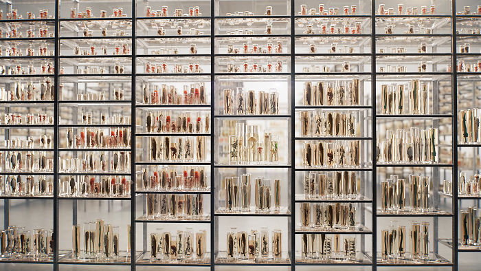 We Came Up With An Idea Of A Modern Noah’s Ark Which Would Preserve Human Knowledge And Art For Future Generations We Came Up With An Idea Of A Modern Noah’s Ark Which Would Preserve Human Knowledge And Art For Future Generations