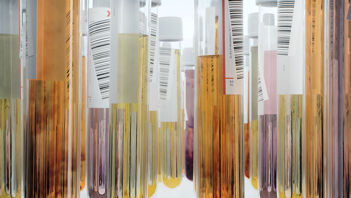 We Came Up With An Idea Of A Modern Noah’s Ark Which Would Preserve Human Knowledge And Art For Future Generations We Came Up With An Idea Of A Modern Noah’s Ark Which Would Preserve Human Knowledge And Art For Future Generations