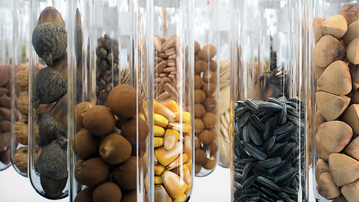 We Came Up With An Idea Of A Modern Noah’s Ark Which Would Preserve Human Knowledge And Art For Future Generations We Came Up With An Idea Of A Modern Noah’s Ark Which Would Preserve Human Knowledge And Art For Future Generations