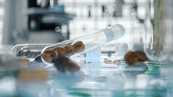 We Came Up With An Idea Of A Modern Noah’s Ark Which Would Preserve Human Knowledge And Art For Future Generations We Came Up With An Idea Of A Modern Noah’s Ark Which Would Preserve Human Knowledge And Art For Future Generations