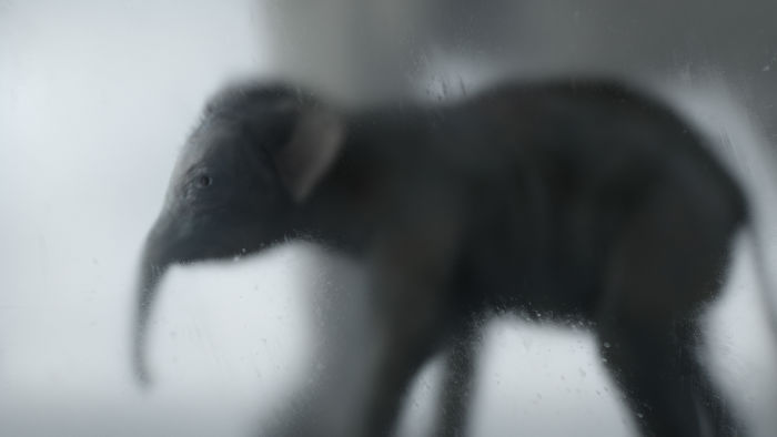 We Came Up With An Idea Of A Modern Noah’s Ark Which Would Preserve Human Knowledge And Art For Future Generations We Came Up With An Idea Of A Modern Noah’s Ark Which Would Preserve Human Knowledge And Art For Future Generations