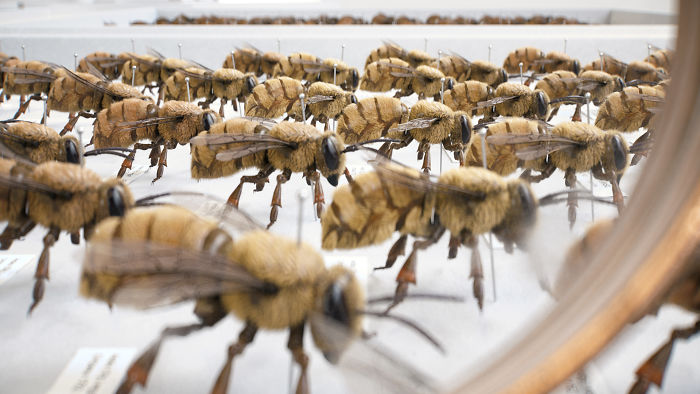 We Came Up With An Idea Of A Modern Noah’s Ark Which Would Preserve Human Knowledge And Art For Future Generations We Came Up With An Idea Of A Modern Noah’s Ark Which Would Preserve Human Knowledge And Art For Future Generations