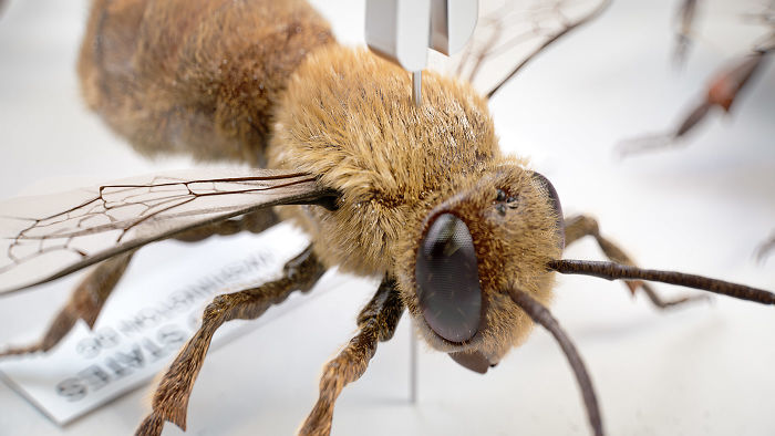 We Came Up With An Idea Of A Modern Noah’s Ark Which Would Preserve Human Knowledge And Art For Future Generations We Came Up With An Idea Of A Modern Noah’s Ark Which Would Preserve Human Knowledge And Art For Future Generations