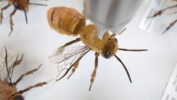 We Came Up With An Idea Of A Modern Noah’s Ark Which Would Preserve Human Knowledge And Art For Future Generations We Came Up With An Idea Of A Modern Noah’s Ark Which Would Preserve Human Knowledge And Art For Future Generations