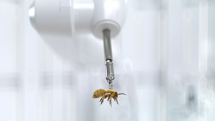 We Came Up With An Idea Of A Modern Noah’s Ark Which Would Preserve Human Knowledge And Art For Future Generations We Came Up With An Idea Of A Modern Noah’s Ark Which Would Preserve Human Knowledge And Art For Future Generations