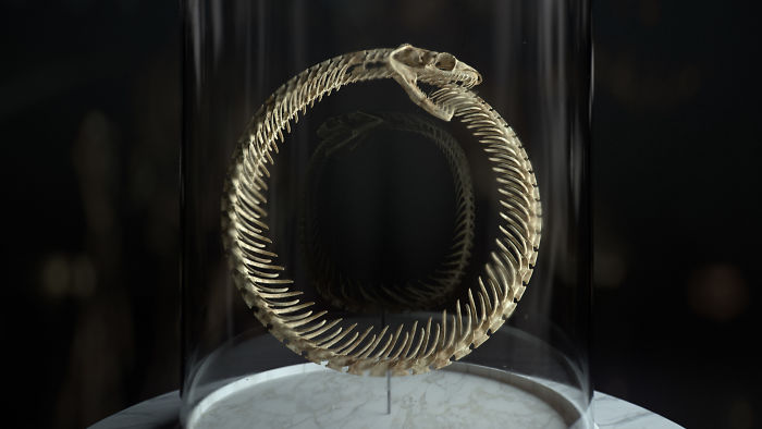 We Came Up With An Idea Of A Modern Noah’s Ark Which Would Preserve Human Knowledge And Art For Future Generations We Came Up With An Idea Of A Modern Noah’s Ark Which Would Preserve Human Knowledge And Art For Future Generations