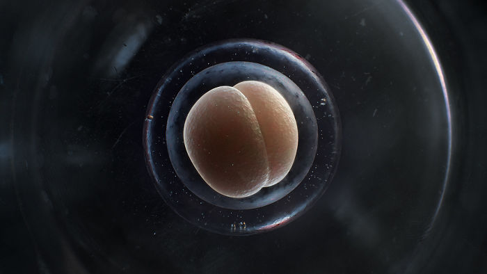 We Came Up With An Idea Of A Modern Noah’s Ark Which Would Preserve Human Knowledge And Art For Future Generations We Came Up With An Idea Of A Modern Noah’s Ark Which Would Preserve Human Knowledge And Art For Future Generations