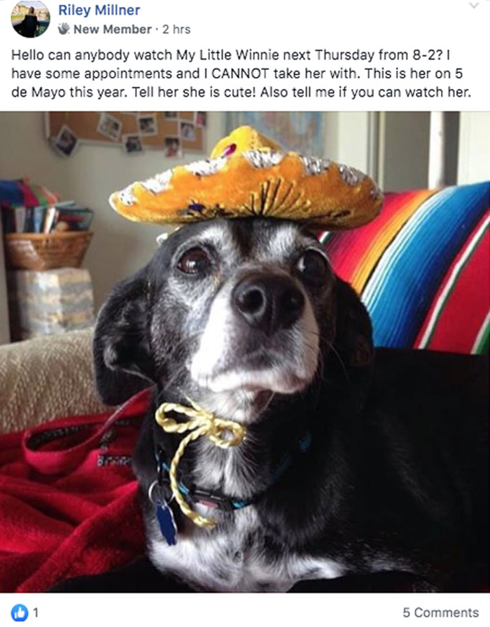 Millennials Are Pretending To Be Baby Boomers In This FB Group And Here Are 25 Hilarious Posts Millennials Are Pretending To Be Baby Boomers In This FB Group And Here Are 25 Hilarious Posts