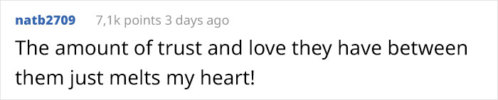 This Blind Golden Retriever And His Guide Dog Best Friend Are Warming People’s Hearts This Blind Golden Retriever And His Guide Dog Best Friend Are Warming People’s Hearts