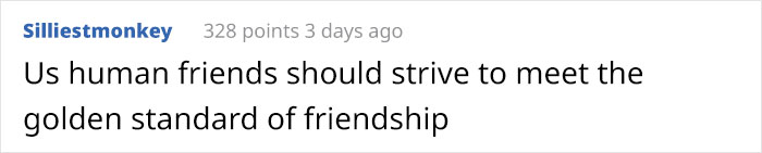 This Blind Golden Retriever And His Guide Dog Best Friend Are Warming People’s Hearts This Blind Golden Retriever And His Guide Dog Best Friend Are Warming People’s Hearts