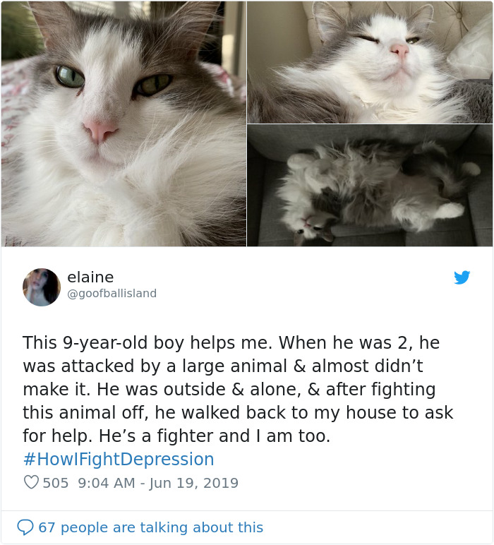 Here Are The 30 Best Responses To #HowIFightDepression Here Are The 30 Best Responses To #HowIFightDepression