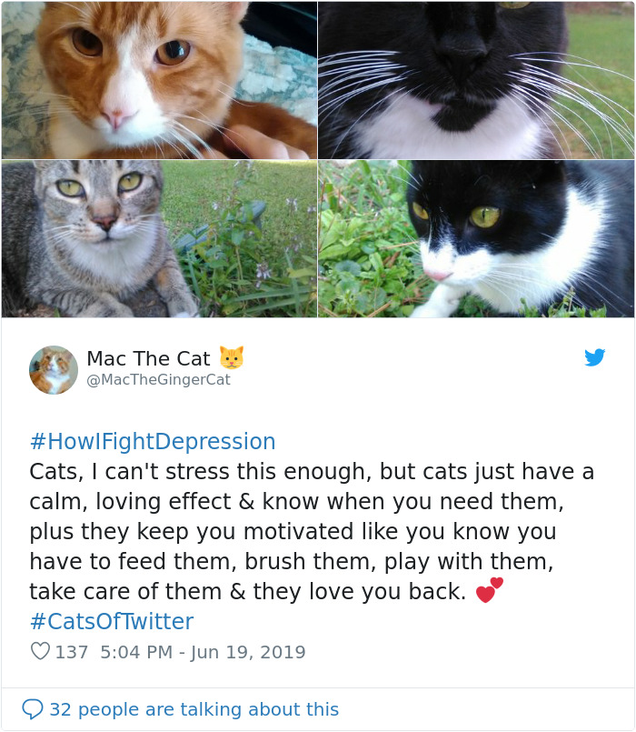 Here Are The 30 Best Responses To #HowIFightDepression Here Are The 30 Best Responses To #HowIFightDepression