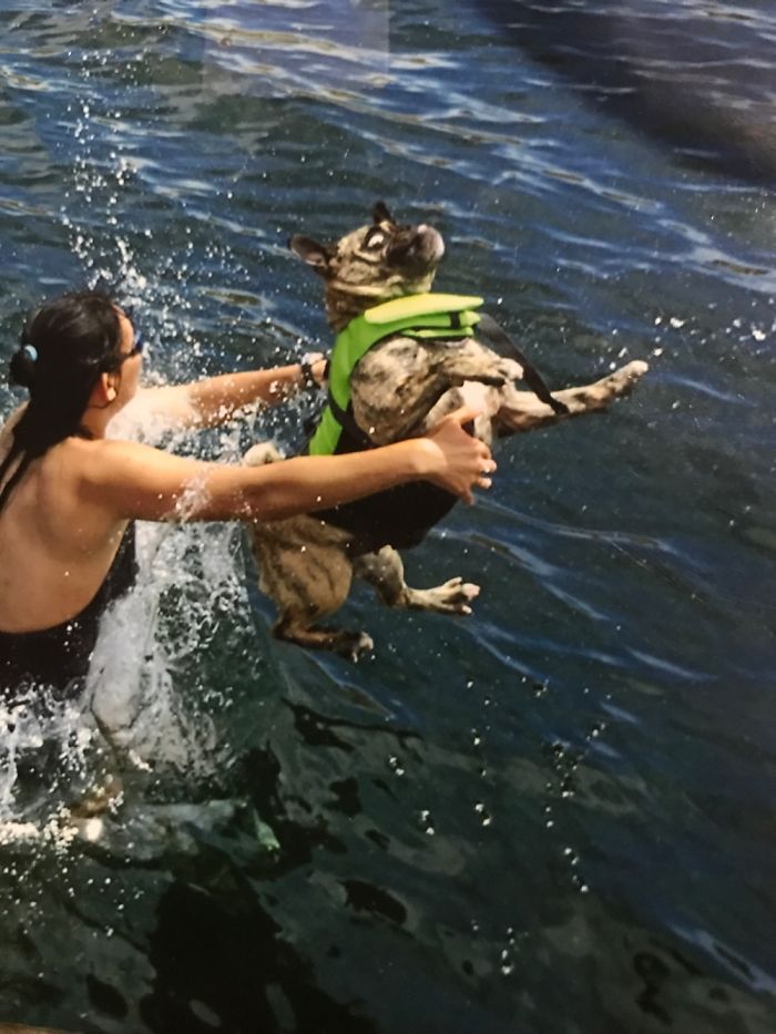 We Asked People To Share The Ugliest Photos Of Their Pets And It’s Hilarious (30 Pics) We Asked People To Share The Ugliest Photos Of Their Pets And It’s Hilarious (30 Pics)