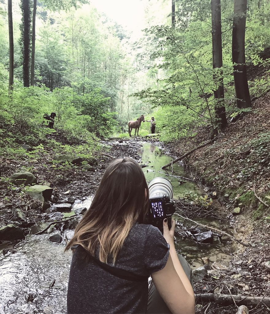 I Photographed A Zorse – The Hybrid Most People Don’t Think Exists (10 Photos) I Photographed A Zorse – The Hybrid Most People Don’t Think Exists (10 Photos)