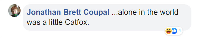 Scientists Discovered A New Cat-Fox Species Which Was Previously Believed To Be A Myth Scientists Discovered A New Cat-Fox Species Which Was Previously Believed To Be A Myth