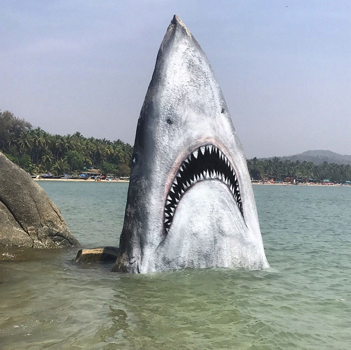 Graffiti Artist Turns A Beach Stone Into A Great White Shark And People Post Their Best Pics With It Graffiti Artist Turns A Beach Stone Into A Great White Shark And People Post Their Best Pics With It
